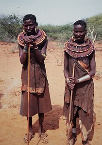 Zwei Samburus in Kenia
